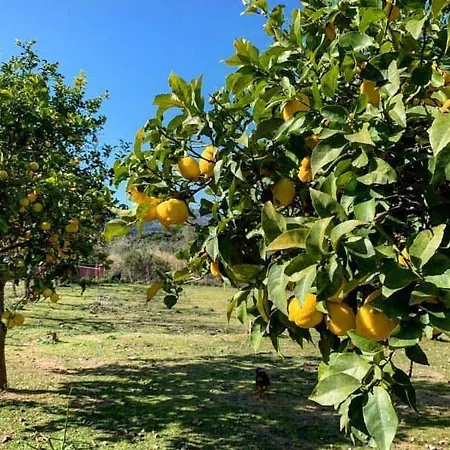 לינה וארוחת בוקר S'imbragu Farm Tortolì