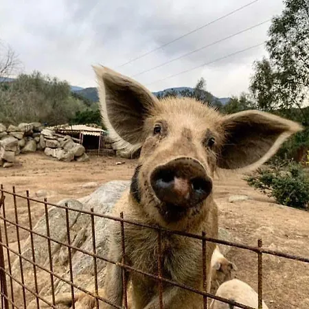 S'imbragu Farm 3* Tortolì