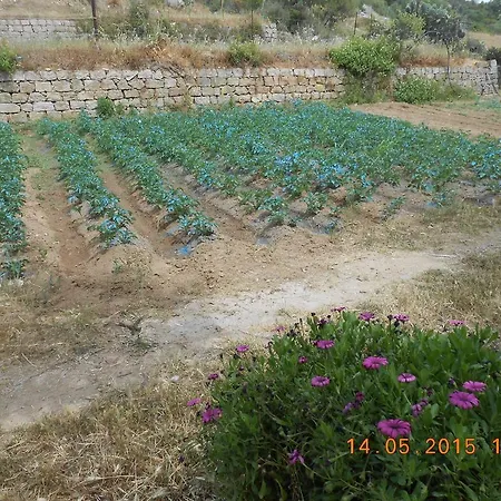 Bed & Breakfast S'imbragu Farm