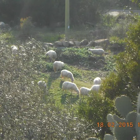 S'imbragu Farm לינה וארוחת בוקר 3*