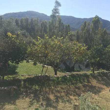 לינה וארוחת בוקר S'imbragu Farm