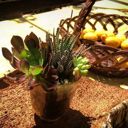 לינה וארוחת בוקר S'imbragu Farm Tortolì