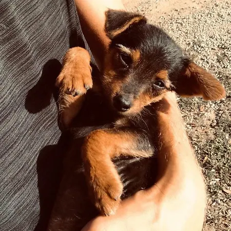 S'imbragu Farm Tortolì