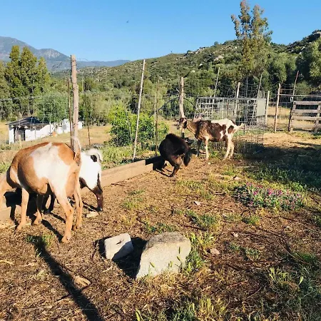 לינה וארוחת בוקר S'imbragu Farm Tortolì