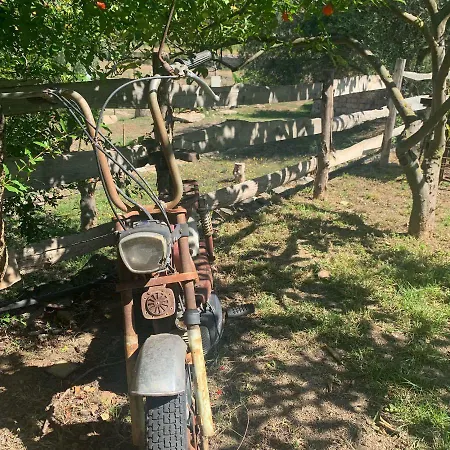 לינה וארוחת בוקר S'imbragu Farm 3*