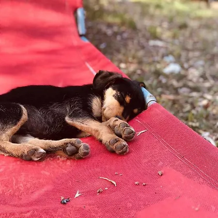 S'imbragu Farm 3* Tortolì