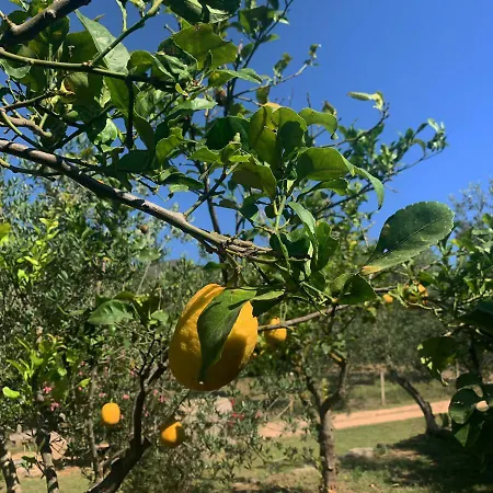 S'imbragu Farm 3* Tortolì