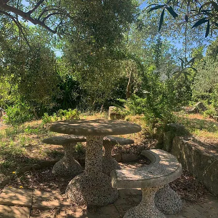 לינה וארוחת בוקר S'imbragu Farm