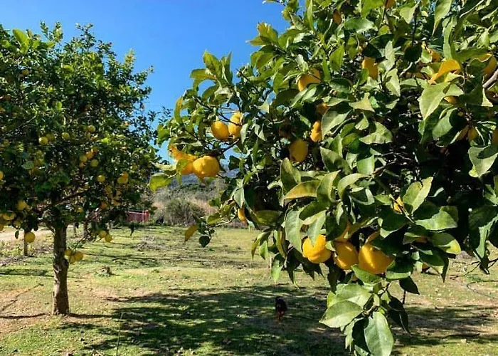 Oda ve Kahvaltı S'imbragu Farm Tortolì