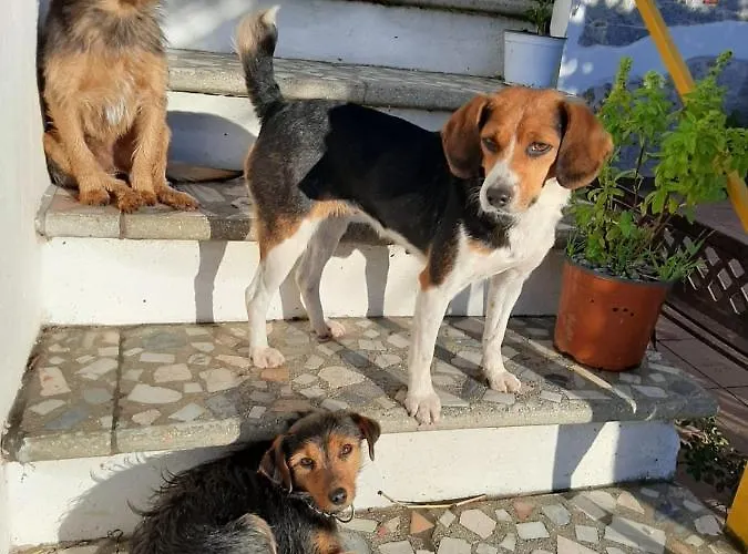 Oda ve Kahvaltı S'imbragu Farm 3*