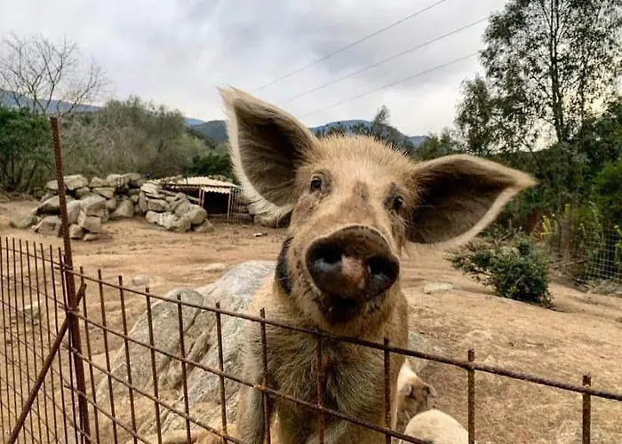 S'imbragu Farm 3* Tortolì