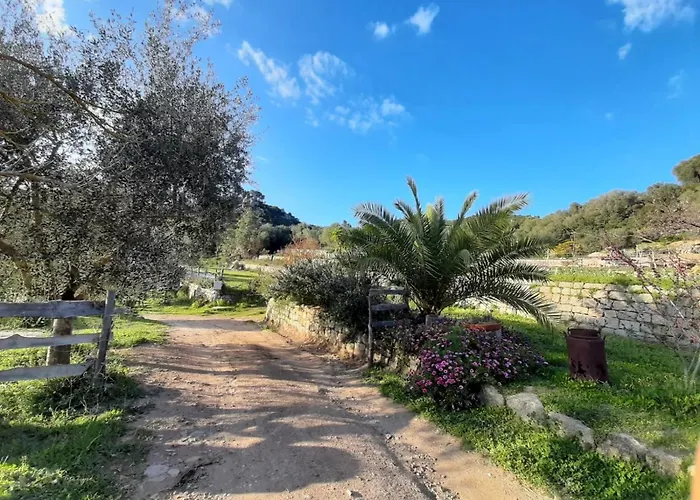 Oda ve Kahvaltı S'imbragu Farm