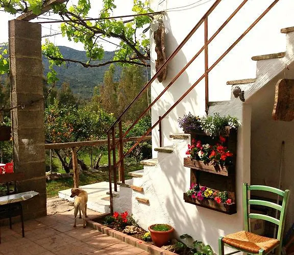 Oda ve Kahvaltı S'imbragu Farm