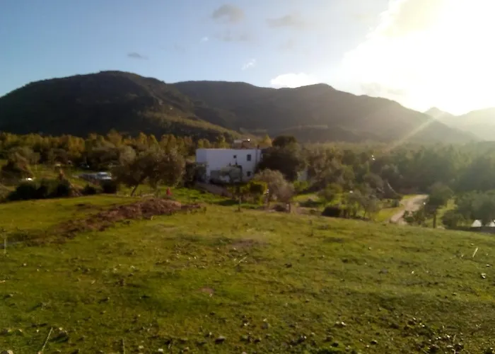 Oda ve Kahvaltı S'imbragu Farm