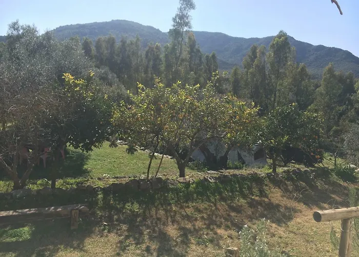 Oda ve Kahvaltı S'imbragu Farm