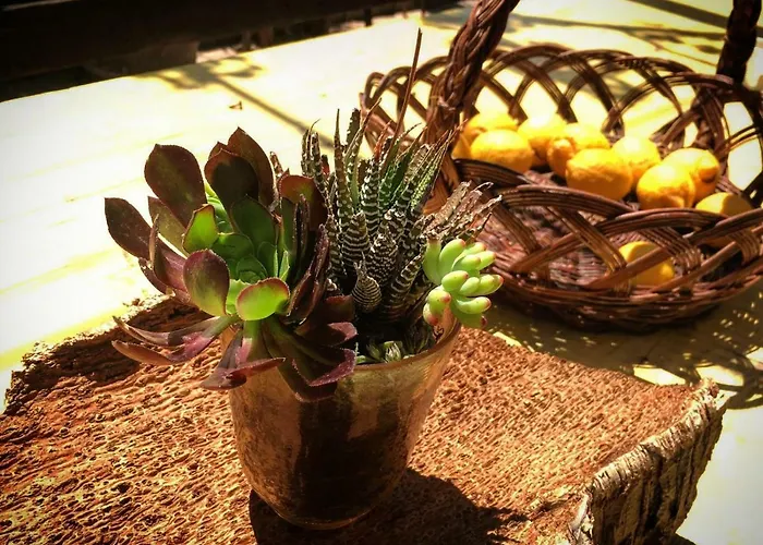 Oda ve Kahvaltı S'imbragu Farm Tortolì