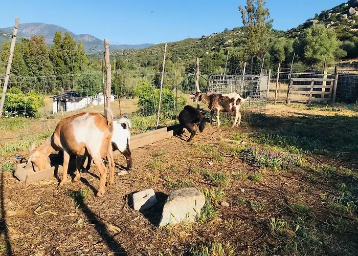 Oda ve Kahvaltı S'imbragu Farm Tortolì