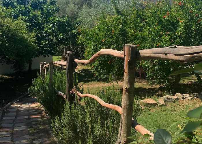 Oda ve Kahvaltı S'imbragu Farm 3*