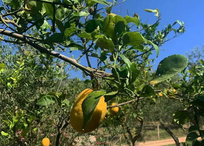 S'imbragu Farm 3* Tortolì