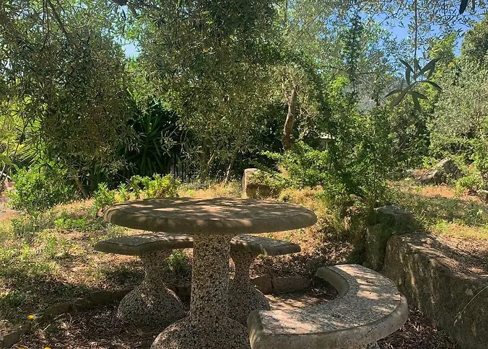 Oda ve Kahvaltı S'imbragu Farm