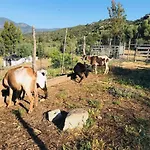 Bed & Breakfast S'imbragu Farm Tortolì