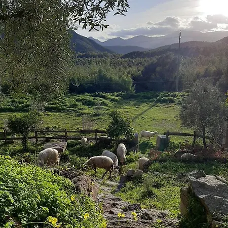 S'imbragu Farm Tortolì