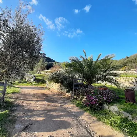 Bed & Breakfast S'imbragu Farm
