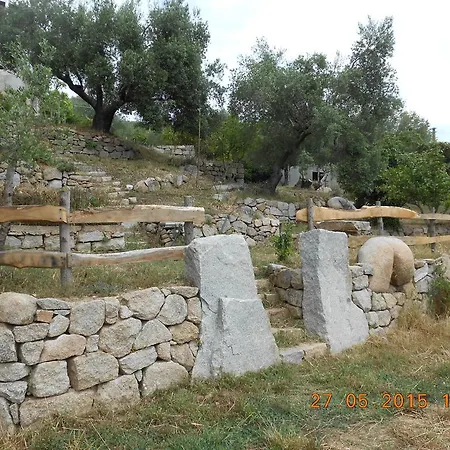 Bed & Breakfast S'imbragu Farm