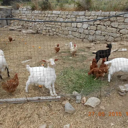 S'imbragu Farm Bed & Breakfast