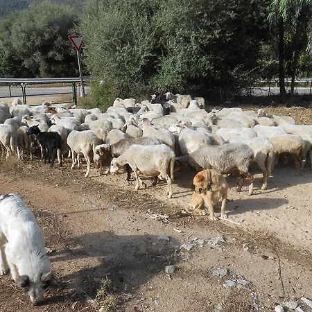 S'imbragu Farm *