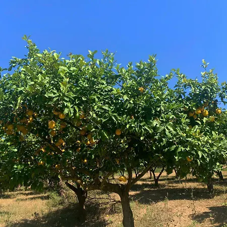 S'imbragu Farm *